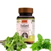 Ayurleaf Herbals Essential Tulsi Capsules - 60 Caps | Pack of 2