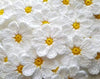 Wool The Lovely Creations Crochet White And Yellow Flowers Set Of 20