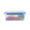Anko 2.3L BPA-Free Plastic Lunch Box | Airtight | Lockable Lid | Leak-Proof | Kitchen Travel School