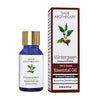Sage Apothecary Wintergreen Pure & Natural Essential Oil -10 ml