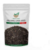 Mewar Impex Unroasted Chia Seeds - 900 gms