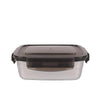 Femora Kitchen, Vegetable, Fruits, Sweets High Steel Rectangle Airtight Unbreakable Storage Container | 550 Ml