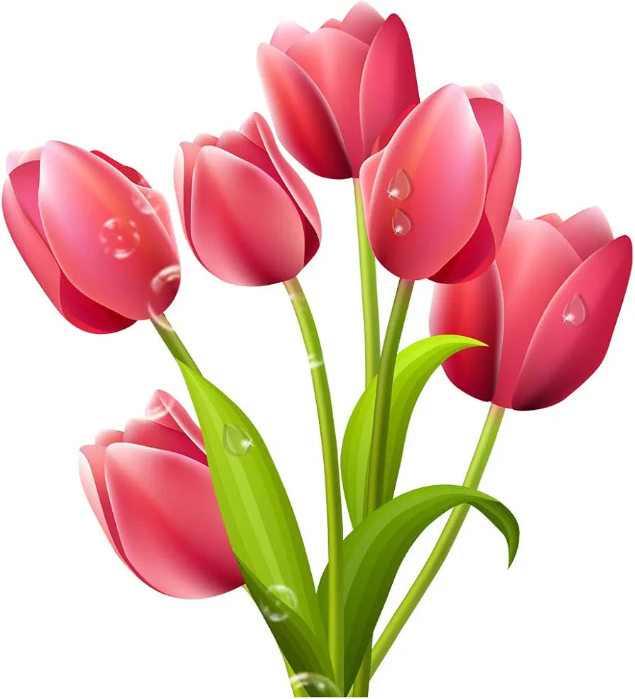 Rangoli Vinyl Modern Art Wall Sticker 1.96 x 20.86 x 1.96 Inches, Multicolour , Botanical