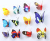 Jaamso Royals Multi Colour Butterfly Stickers 13 Cm X 13cm Pack of 12
