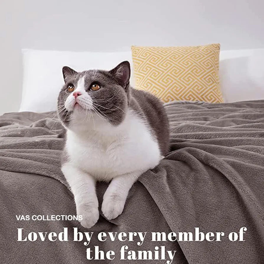 HOMEKART Premium Solid Color Soft Plush Mink Blanket Ultra Cozy and Warm, Silky Soft All-Season Single Bed Blanket for Bed Sofa & Lounge 