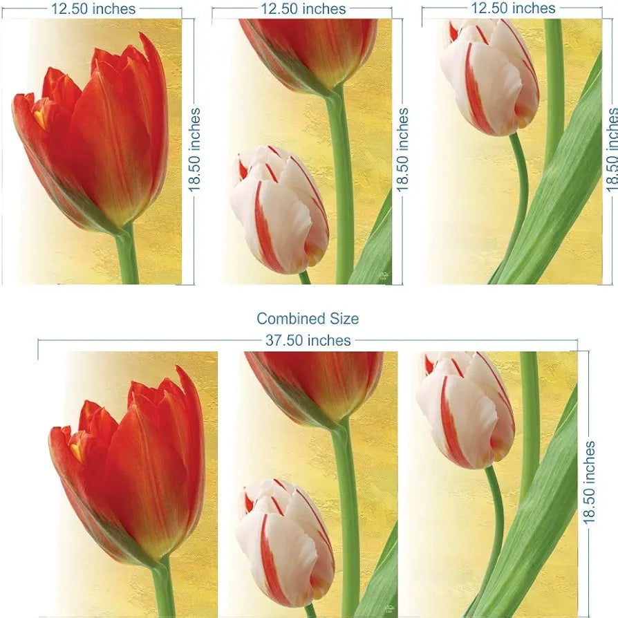 Rangoli MDF 3 Pcs Wall Poster 12x18 Inch Decorative Wall Art for Home, Office, Living Room. P-4, Design-23