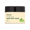 Inatur Strengthening Amla Hair Mask with organic Coconut - 200 gms