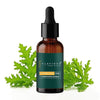 Flaviour Citronella Essential Oil - 10 ml