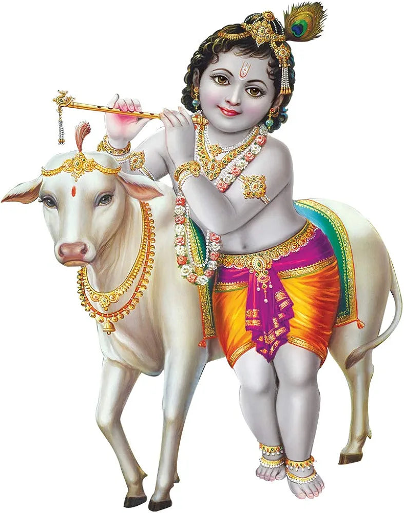 Rangoli White Glossy Vinyl Wall Sticker Premium Self-Adhesive Waterproof Decorative Wall Decal for Bedroom, Living Room, Office & Home Decoration Easy to Apply. Design-3