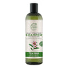 Petal Fresh Pure Scalp Treatment Tea Tree Shampoo - 355 ml