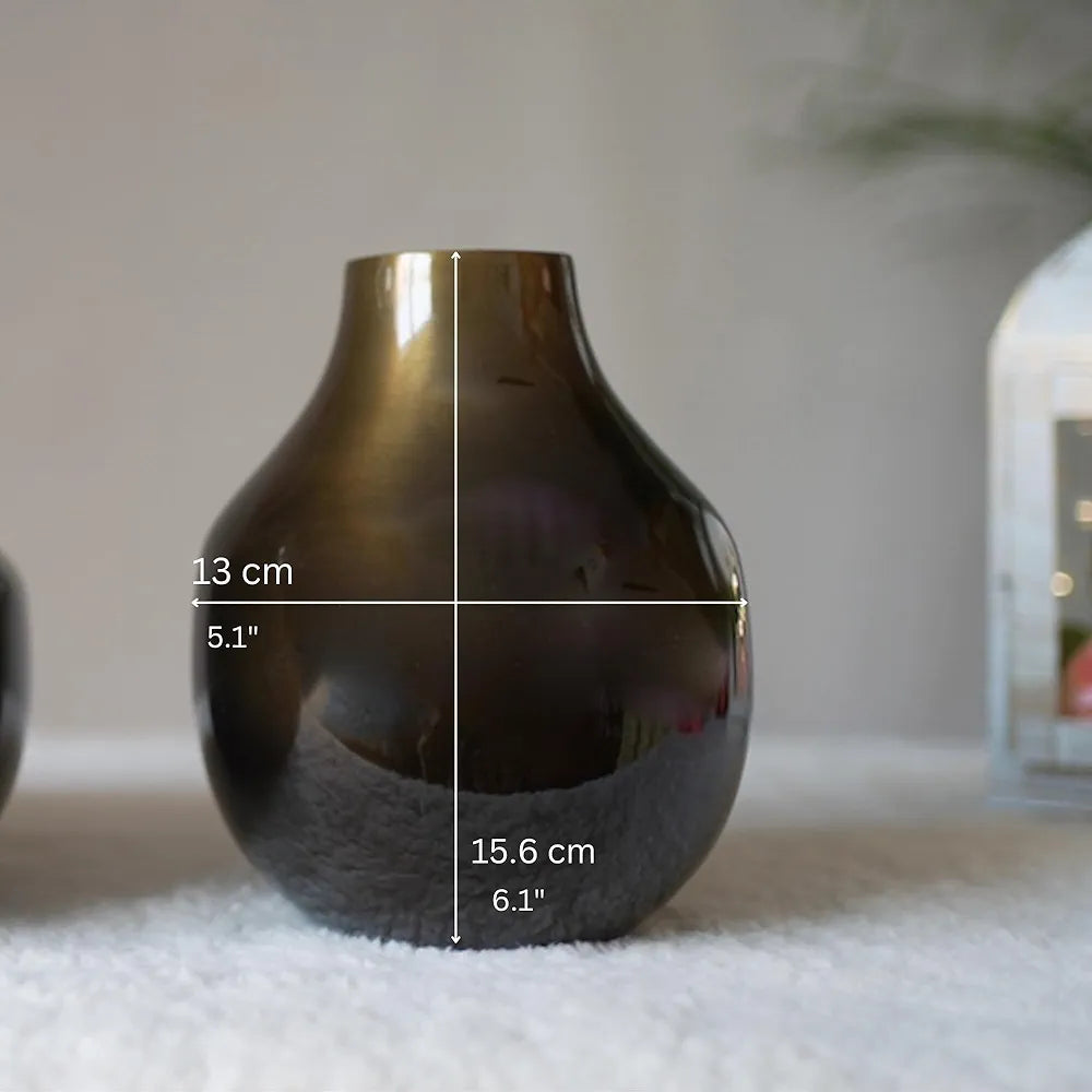 Behoma Metal Flower Vase for Home Decor Living Room Kitchen Office Wedding Round Shape Metal Table Decorative Flower Pot Brass Colour Small 