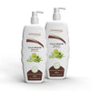 Patanjali Kesh Kanti Natural Shampoo - 450 ml (Pack of 2)