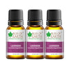 Bliss of Earth Premium Lavender Spain Lavandula Angustifobia Essential Oil - 10 ml Each (Pack of 3)