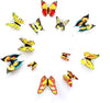 Rangoli 3D Metal Butterfly Stickers for Decoration Pack of 12
