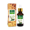Salvia Home Genie Calamus Acorus Calamus Oil Essential Oil
