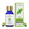Sage Apothecary Natural Basil Essential Oil - 10 ml