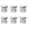 Larah by Borosil Crysta Series Macy Opalware Mug | Set of 6 Tea/coffee Mugs | 210 Ml Each