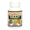 Bodywell Pure Himalayan ShilajIt Capsule - 60 Capsules