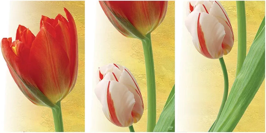 Rangoli MDF 3 Pcs Wall Poster 12x18 Inch Decorative Wall Art for Home, Office, Living Room. P-4, Design-23