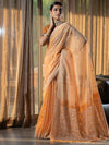 Satrani Orange Ethnic Motifs Woven Design Zari Jamdani Saree