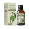Aromahpure Eucalyptus Fragrance Oil - 15 ml