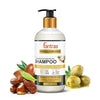 Fantraa Moroccan Argan Oil Shampoo - 300 ml