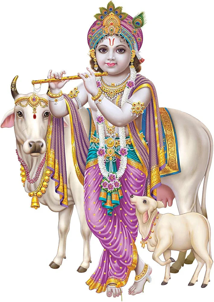 Rangoli White Glossy Vinyl Wall Sticker Premium Self-Adhesive Waterproof Decorative Wall Decal for Bedroom, Living Room, Office & Home Decoration Easy to Apply. Parent-7, Design-19