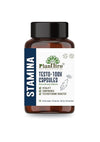 PlantBro Testo - 100x Capsules - 60 Capsules | 650 Mg | Helps in Supporting Endurance & Stamina