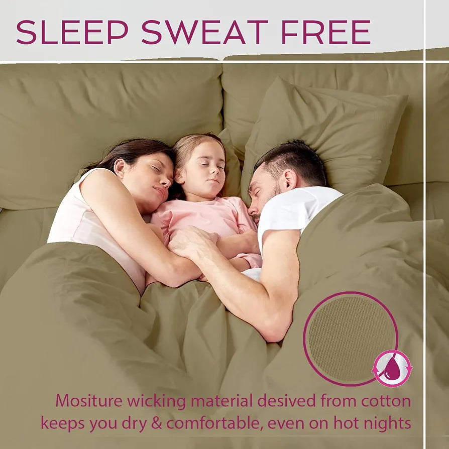 Trance Home Linen Premium 300 TC Pure 100% Cotton Queen Fitted Bedsheet with 2 Pillow Covers 