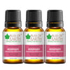 Bliss of Earth Premium Rosemary Rosmarimus Officinalis - 10 ml Each (Pack of 3)