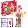 Smartivity Human Body Toy for Kids Body Organs & Functions Birthday Gifts for Boys & Girls