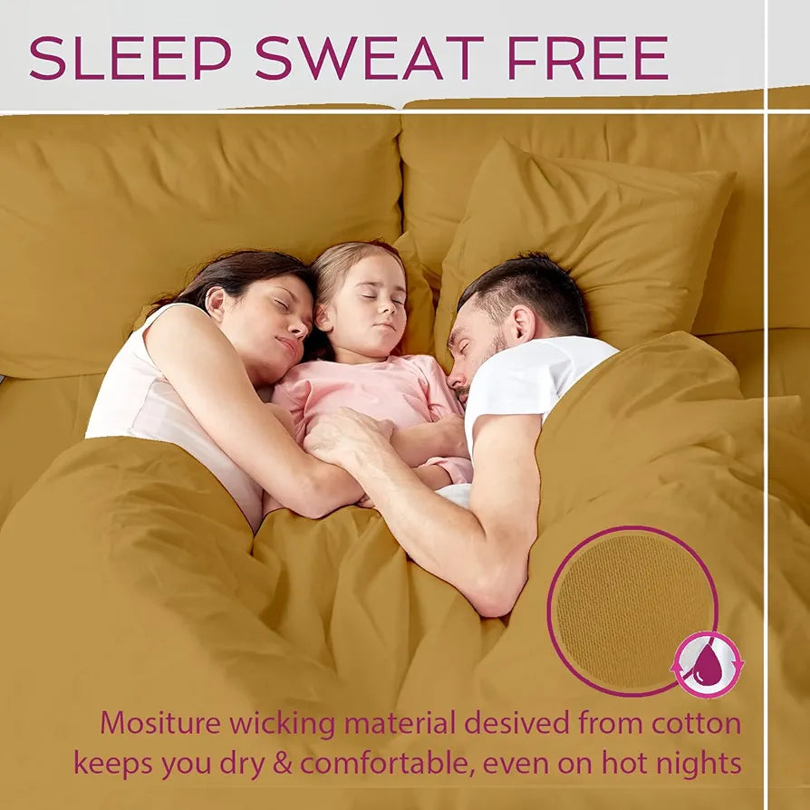 Trance Home Linen Premium 300 TC Pure 100% Cotton King Fitted Bedsheet with 2 Pillow Covers 