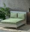 Trance Home Linen Premium 300 TC Pure 100% Cotton Queen Fitted Bedsheet with 2 Pillow Printed Covers Colour Moss Green