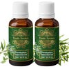 Exotic Aromas Eucalyptus Essential Oil - 15 ml (Pack of 2)