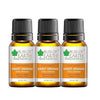 Bliss of Earth Premium Sweet Orange Citrus Sinensis Essential Oil - 10 ml Each (Pack of 3)