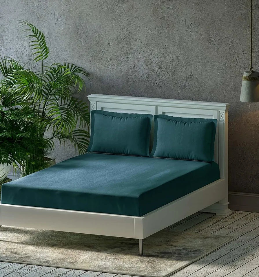 Trance Home Linen Premium 300 TC Pure 100% Cotton Queen Fitted Bedsheet with 2 Pillow Solid Covers 