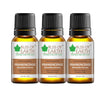 Bliss of Earth Premium Frankincense Boswellia Frerana Essential Oil- 10 ml Each (Pack of 3)