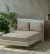 Trance Home Linen Premium 300 TC Pure 100% Cotton King Fitted Bedsheet with 2 Pillow Solid Covers Colour Mocha