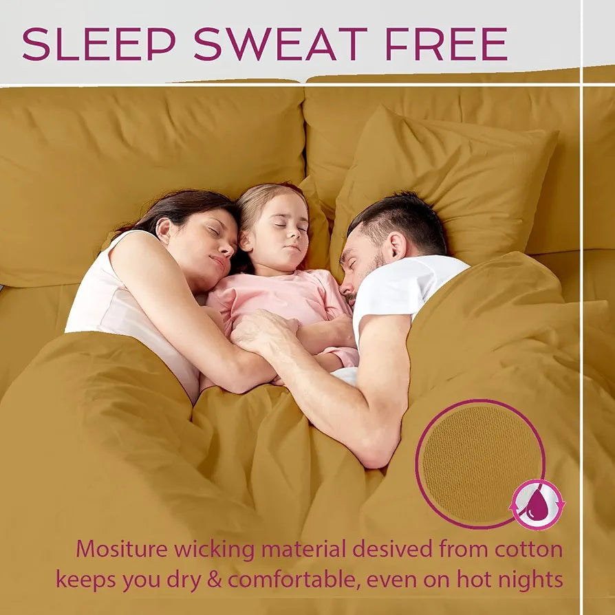 Trance Home Linen 300TC Pure 100% Cotton Queen Fitted Bedsheet with 2 Pillow Covers - 