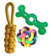 Pet Needs Interactive Combo Dog Chew Toys | Mini to Small Breed Dogs Combo Pack | Color May Vary