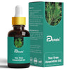 DPetals Tea Tree Essential Oil for Balance - 15 ml