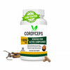 Vitaruhe Cordyceps Sinensis Extract Capsules - 90 Caps
