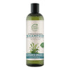 Petal Fresh Pure Strengthening Seaweed & Argan Oil Shampoo - 355 m