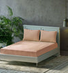 Trance Home Linen Premium 300 TC Pure 100% Cotton Queen Fitted Bedsheet with 2 Pillow Covers Colour Apricot