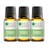 Bliss of Earth Premium Peppermint Mentha Piperita Essential Oil - 10 ml Each (Pack of 3)
