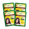 Sunny Hair Color With Unique Blend of Henna Amla Shikakai & Bhringraj Herbs - 20 gms (Pack of 4)
