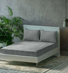 Trance Home Linen Premium 300 TC Pure 100% Cotton Queen Fitted Bedsheet with 2 Pillow Covers Colour Ash Grey
