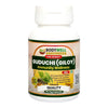 Bodywell Giloy Pure Extract Capsule -  60 Capsules