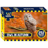 Webby Owl in Autumn Jigsaw Puzzle 252 Pieces Multicolor