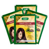 Sunny Herbals Hair Color Burgundy - 20 gms (Pack of 4)
